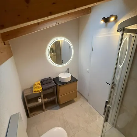 公寓 Burgener Sport Dachwohnung 萨斯格伦德