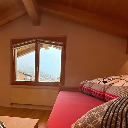 公寓 Burgener Sport Dachwohnung