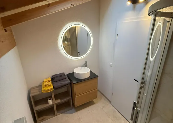 公寓 Burgener Sport Dachwohnung 萨斯格伦德