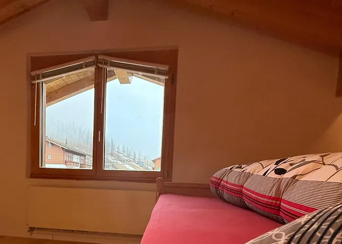 公寓 Burgener Sport Dachwohnung